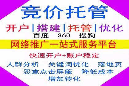 百度竞价排名案例分析：提升网站流量与转化率